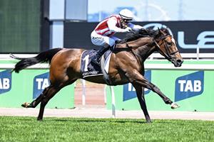 O'BRIEN FEELING GOOD ABOUT OAKS